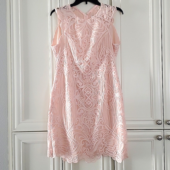 NWT REISS | Lace Bodycon Dress - Picture 9 of 9